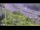 Webcam in Arch Hill, 1.9 mi away