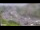 Webcam in Arch Hill, 5.4 mi away