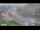 Webcam in Arch Hill, 2.4 mi away