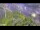 Webcam in Arch Hill, 2.4 mi away