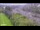 Webcam in Arch Hill, 2.9 km entfernt