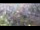 Webcam in Arch Hill, 2.4 mi away