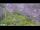 Webcam in Arch Hill, 2.4 mi away