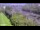 Webcam in Arch Hill, 2.4 mi away