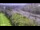 Webcam in Arch Hill, 2.4 mi away