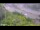 Webcam in Arch Hill, 2.4 mi away
