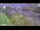 Webcam in Arch Hill, 3.1 km entfernt