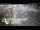 Webcam in Point Chevalier, 6 km