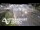 Webcam in Point Chevalier, 4.7 km