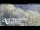 Webcam in Beach Haven, 4.5 km entfernt