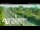 Webcam in Greenhithe, 0.7 mi away