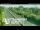 Webcam in Greenhithe, 2.9 mi away