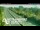 Webcam in Greenhithe, 2.9 mi away