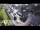 Webcam in Greenhithe, 0.3 mi away