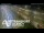 Webcam in Glenfield, 2.9 mi away