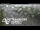 Webcam in Greenhithe, 2.9 mi away