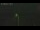 Webcam on Fanø, 45 mi away