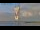 Webcam on Fanø, 30.8 mi away