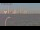 Webcam on Fanø, 30.1 mi away
