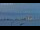 Webcam on Fanø, 28.8 mi away