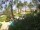 Webcam in Cabarete, 239 km