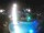 Webcam in Cabarete, 86.8 mi away