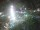 Webcam in Cabarete, 171.3 km