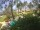 Webcam in Cabarete, 171.3 km