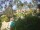 Webcam in Cabarete, 1.3 km
