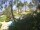 Webcam in Cabarete, 239 km entfernt