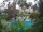 Webcam in Cabarete, 7.3 mi away