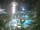 Webcam in Cabarete, 39.8 mi away