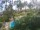 Webcam in Cabarete, 131.7 km entfernt