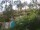 Webcam in Cabarete, 239 km entfernt