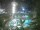 Webcam in Cabarete, 1.3 km