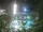 Webcam in Cabarete, 92.2 mi away