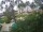 Webcam in Cabarete, 239 km entfernt