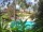 Webcam in Cabarete, 39.6 mi away