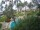 Webcam in Cabarete, 171.3 km entfernt