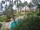 Webcam in Cabarete, 105.3 km entfernt