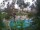 Webcam in Cabarete, 0.2 mi away