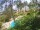 Webcam in Cabarete, 239 km