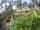 Webcam in Cabarete, 40.6 mi away