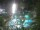 Webcam in Cabarete, 39.8 mi away