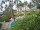 Webcam in Cabarete, 89.3 mi away