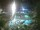 Webcam in Cabarete, 1.3 km
