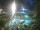 Webcam in Cabarete, 0.2 mi away