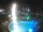 Webcam in Cabarete, 92.2 mi away