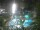 Webcam in Cabarete, 239 km entfernt