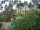 Webcam in Cabarete, 85.9 km entfernt